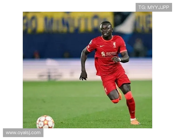 伯恩茅斯签下拉扬3030万镑 伯恩茅斯签下拉扬3030万镑